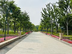-新江湾城公园