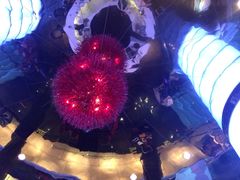 -杭州龙禧福朋喜来登酒店