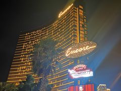 -拉斯维加斯永利酒店