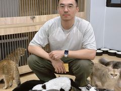 -有喵·猫咖·狗咖·30几只猫10只小狗(岗厦店)