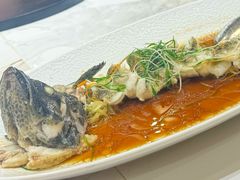 -驻海渔市(置信店)