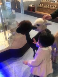 -萌哆哆·宠物乐园(福清店)