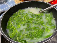 上汤枸杞叶-石岐乳鸽村(南海第三分店)