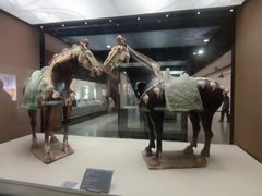 -西安大唐西市博物馆