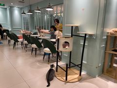 -安格丽娜·狗咖·猫咖羊驼咖(春熙路百盛商场店)