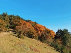 -玉泉威虎山森林公园