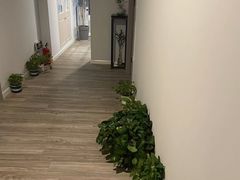 -静 泰养生(黄金城道店)