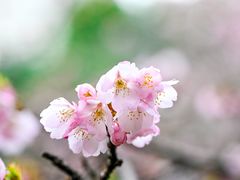 -静安雕塑公园