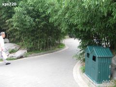 -紫竹院公园冰场