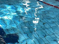 -重庆市奥林匹克体育中心-游泳跳水馆