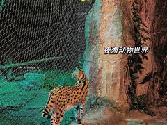 -杭州野生动物世界