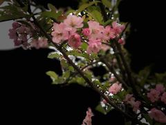 -眉山湿地公园(东坡区)