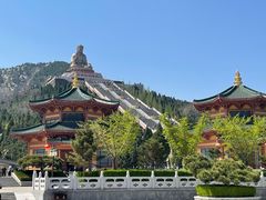 -龙口南山旅游景区