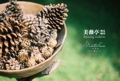 -美薇亭婚礼顾问