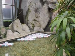 -瑞阁温泉酒店温泉中心