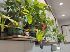 -陈栗记牛腩饭(钟楼小区店)