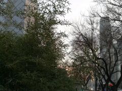 -中央广播电视总台(光华路办公区)