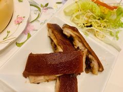 脆脆BB猪-翠园(北京王府中环店)