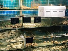 水产区-北戴河庆山饭店·海鲜砂锅粥(北戴河黑石路店)