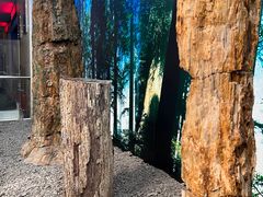 -延庆地质公园博物馆