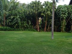 -亚马逊丛林水乐园