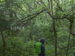 -南京市无想山景区