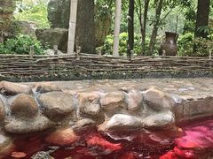 -深业半汤御泉庄温泉