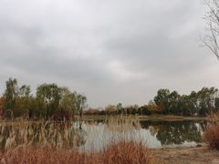 -东郊湿地公园