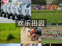 -光明小镇欢乐田园