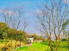 -飞凤山奥体公园