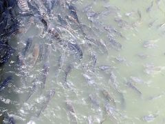 -金穗园温泉酒店