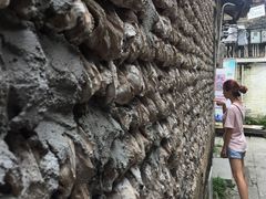-小洲村