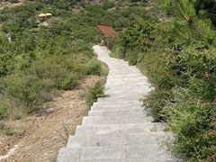 -五龙城郊森林公园