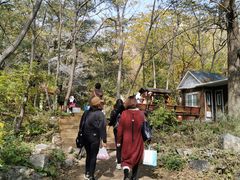 -大岭沟猕猴桃谷风景区