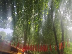 -大鹅岛绿色生态美食园