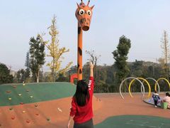 -枫香湖儿童公园