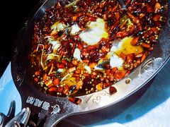 -雲蜀龙阁·金牌水煮鱼(方庄店)