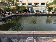 -DGE季风钓虾营地·团建·聚会