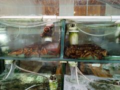 -来之顺海鲜菜馆·青岛菜(栈桥店)
