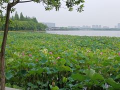 -石湖景区