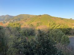 -天目湖御水温泉·度假酒店