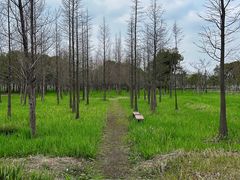 -嘉北郊野公园