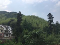 -山沟沟景区