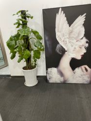 -DEM缔怡美科技美容