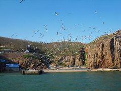 -海驴岛(荣成市)