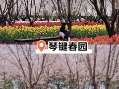-上海辰山植物园