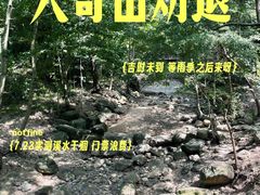 -大奇山国家森林公园