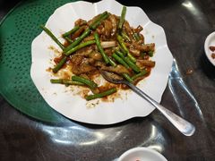 -东鸽皇(奥园·中环广场店)