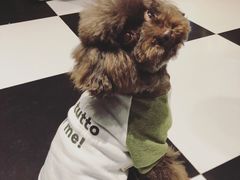 -Oh My Dog宠物沙龙(伊珊娜皮毛护理店)