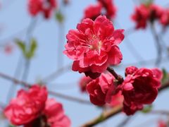 -乌山风景区